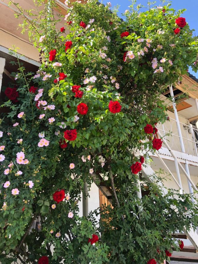 Гостевой Дом Айша Guest House Aisha Cholpon-Ata Luaran gambar
